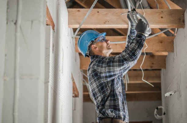 Best Electrical System Inspection  in Young Harris, GA