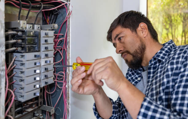 Best Licensed Electrician  in Young Harris, GA